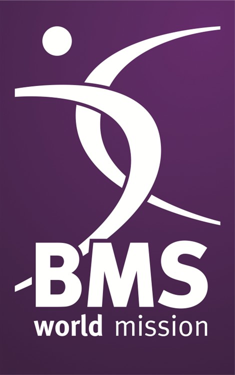 BMS logo 2013
